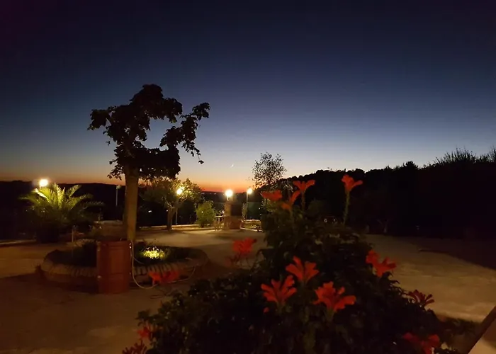 Oasi Di Pace